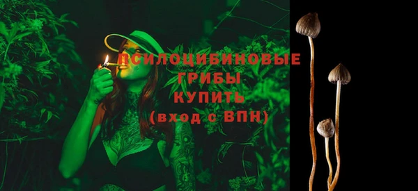 mdpv Баксан