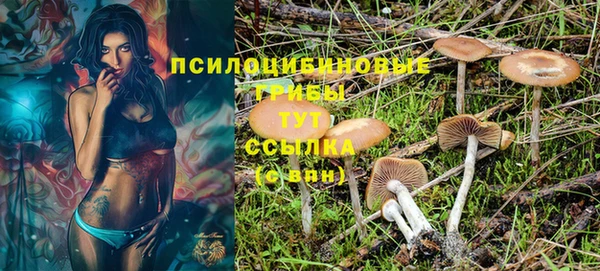 mdpv Баксан