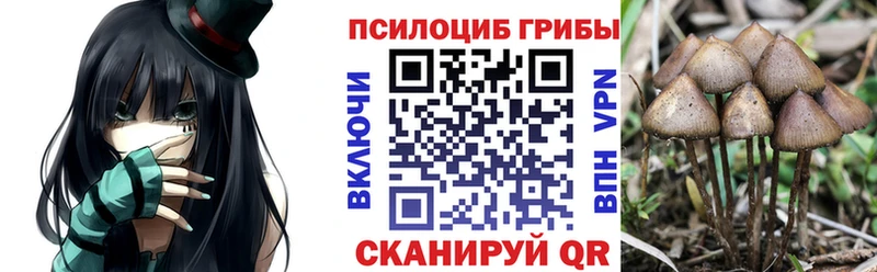 Галлюциногенные грибы мицелий  как найти закладки  Ветлуга 