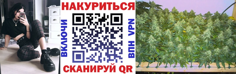 Бошки Шишки VHQ  hydra ТОР  Ветлуга 